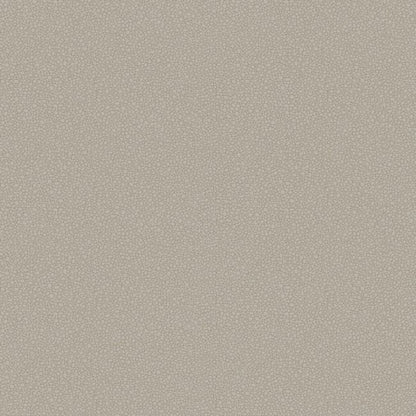 Pebble Wallpaper - Shell - 106/2016