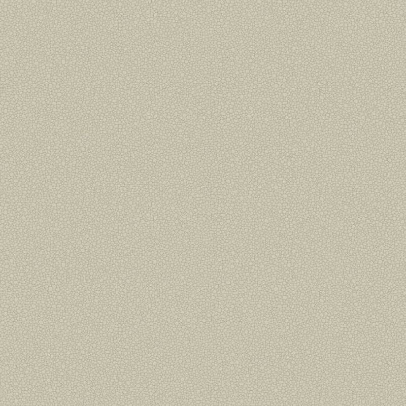 Pebble Wallpaper - Safari - 106/2019