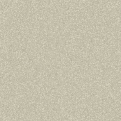 Pebble Wallpaper - Safari - 106/2019