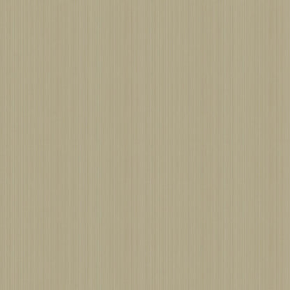 Jaspe Wallpaper - Mica Metallic Gilver - 106/3045