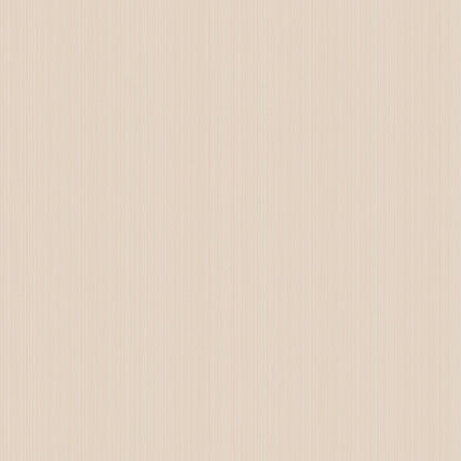 Jaspe Wallpaper - Mica Plaster Pink - 106/3049