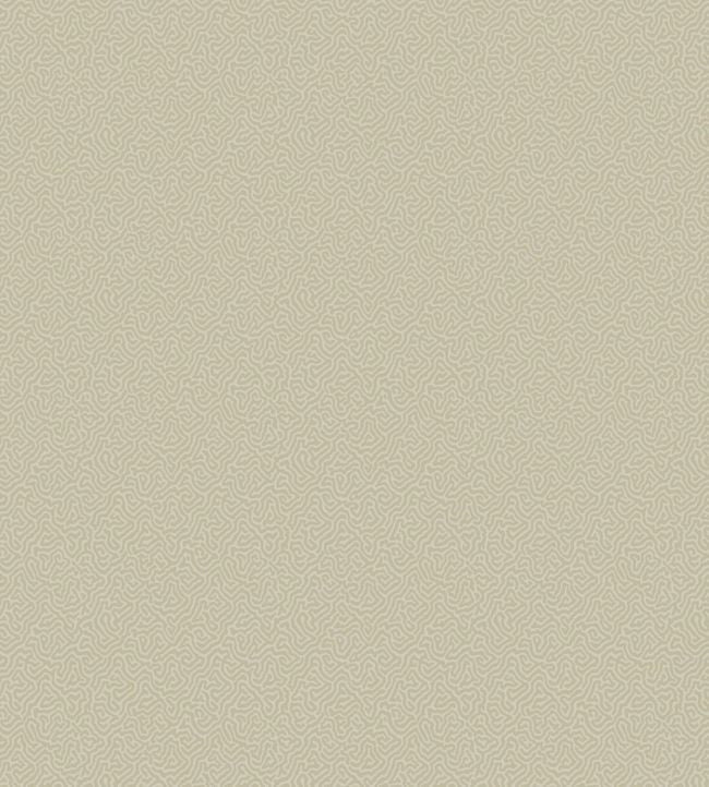 Coral Wallpaper - Stone - 106/5072