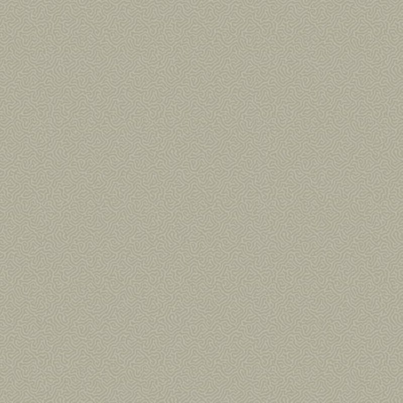 Coral Wallpaper - Grey - 106/5073
