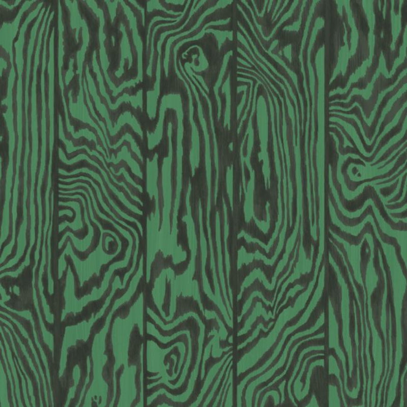 Zebrawood Wallpaper - Charcoal on Emerald - 107/1001