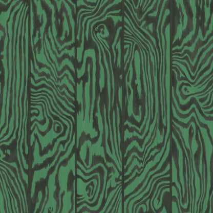 Zebrawood Wallpaper - Charcoal on Emerald - 107/1001