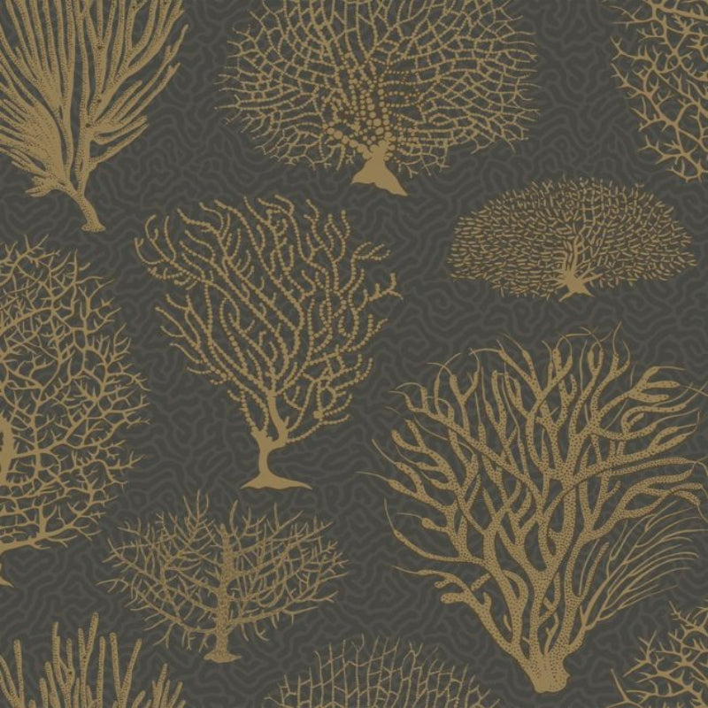 Seafern Wallpaper - Metallic Gold on Charcoal - 107/2006