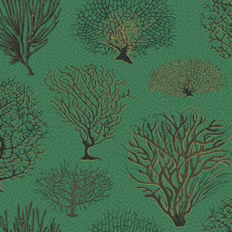 Seafern Wallpaper - Charcoal & Metallic Gold on Emerald - 107/2007