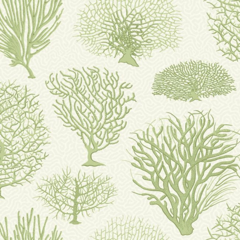 Seafern Wallpaper - Olive Green on White - 107/2008