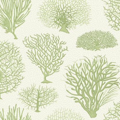 Seafern Wallpaper - Olive Green on White - 107/2008