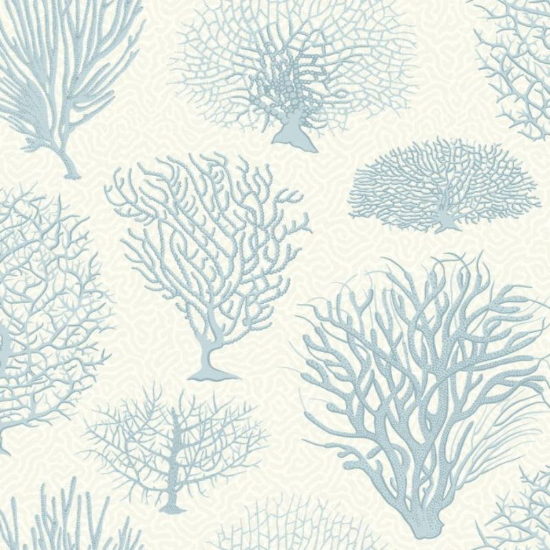 Seafern Wallpaper - Ice Blue on Chalk - 107/2009