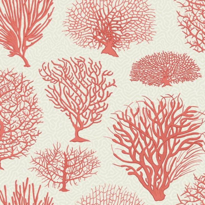 Seafern Wallpaper - Rouge on Parchment - 107/2011