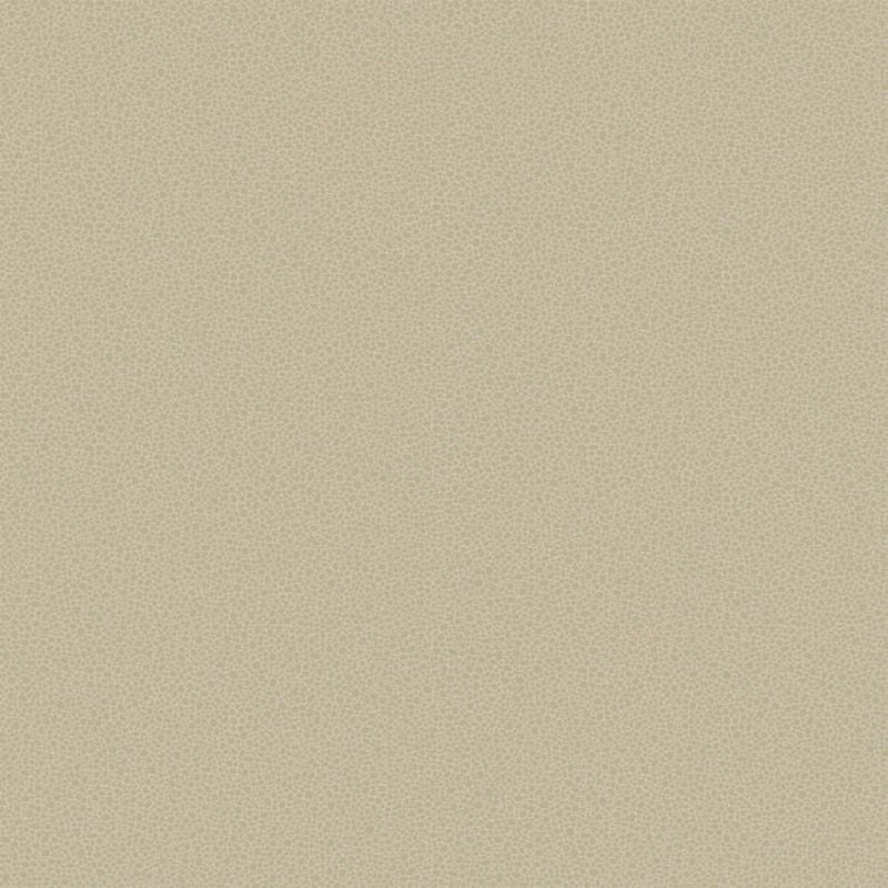 Goldstone Wallpaper - Metallic Gilver on Stone - 107/9042