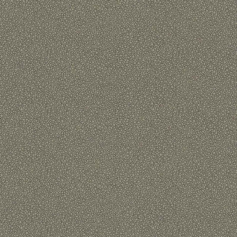 Goldstone Wallpaper - Metallic Silver on Charcoal - 107/9043