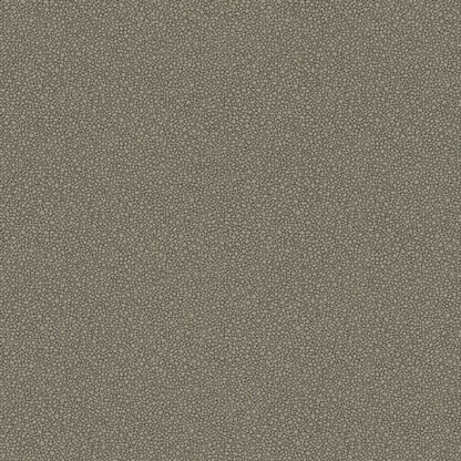 Goldstone Wallpaper - Metallic Silver on Charcoal - 107/9043