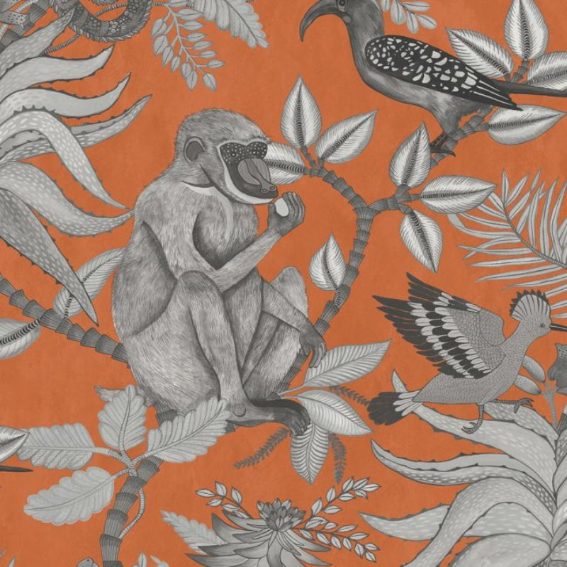 Savuti Wallpaper - Soot on Tangerine - 109/1001