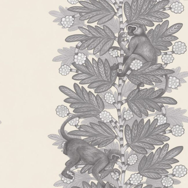 Acacia Wallpaper - Soot & Snow on Parchment - 109/11053
