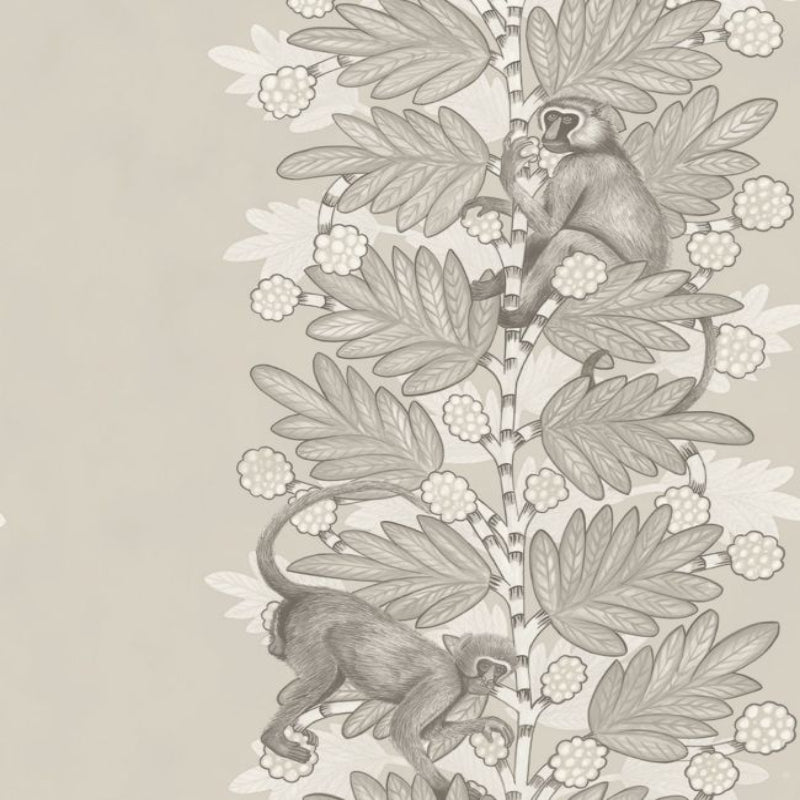 Acacia Wallpaper - Taupe & White on Stone - 109/11054