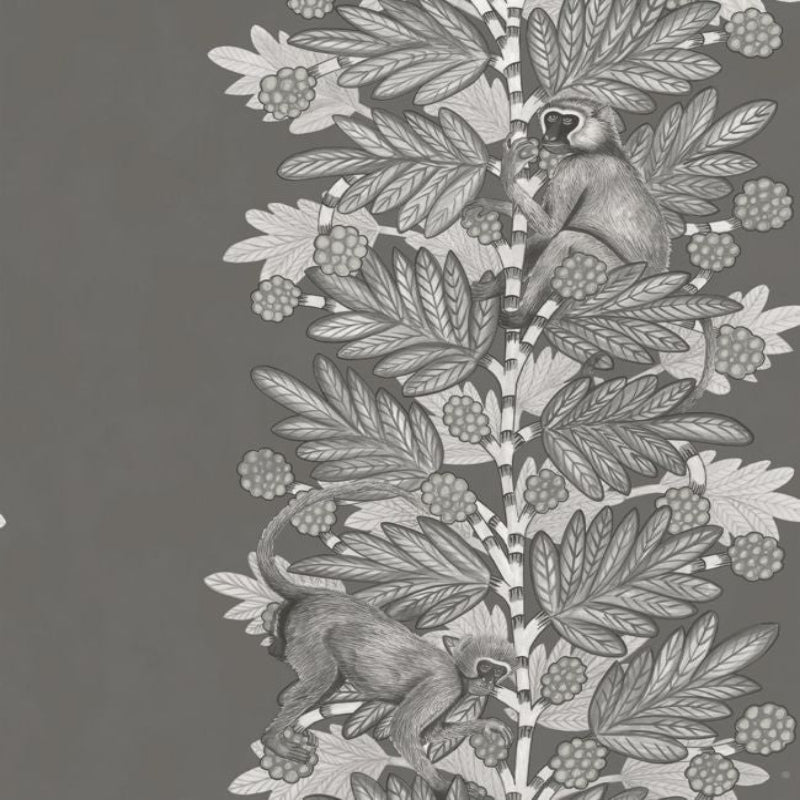 Acacia Wallpaper - Charcoal & Metallic Silver on Soot - 109/11055
