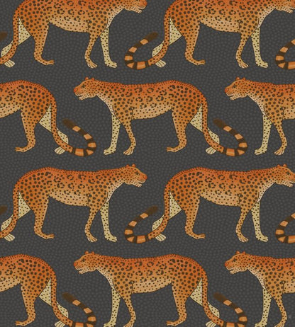 Leopard Walk Wallpaper - Burnt Orange on Charcoal - 109/2008