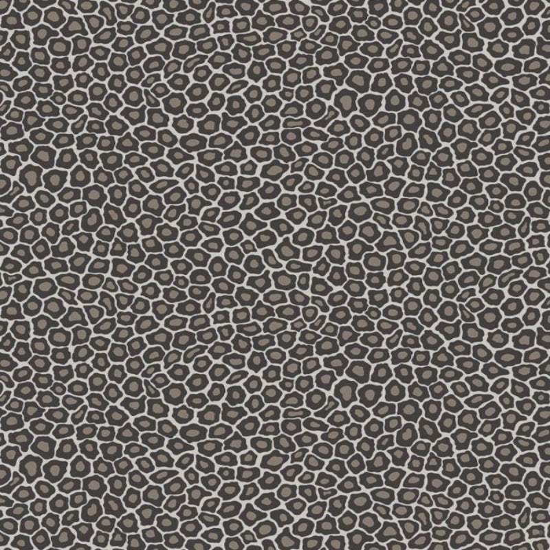 Senzo Spot Wallpaper - Soot & Snow - 109/6031