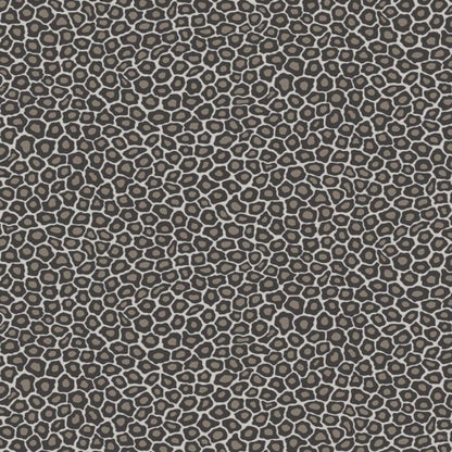 Senzo Spot Wallpaper - Soot & Snow - 109/6031