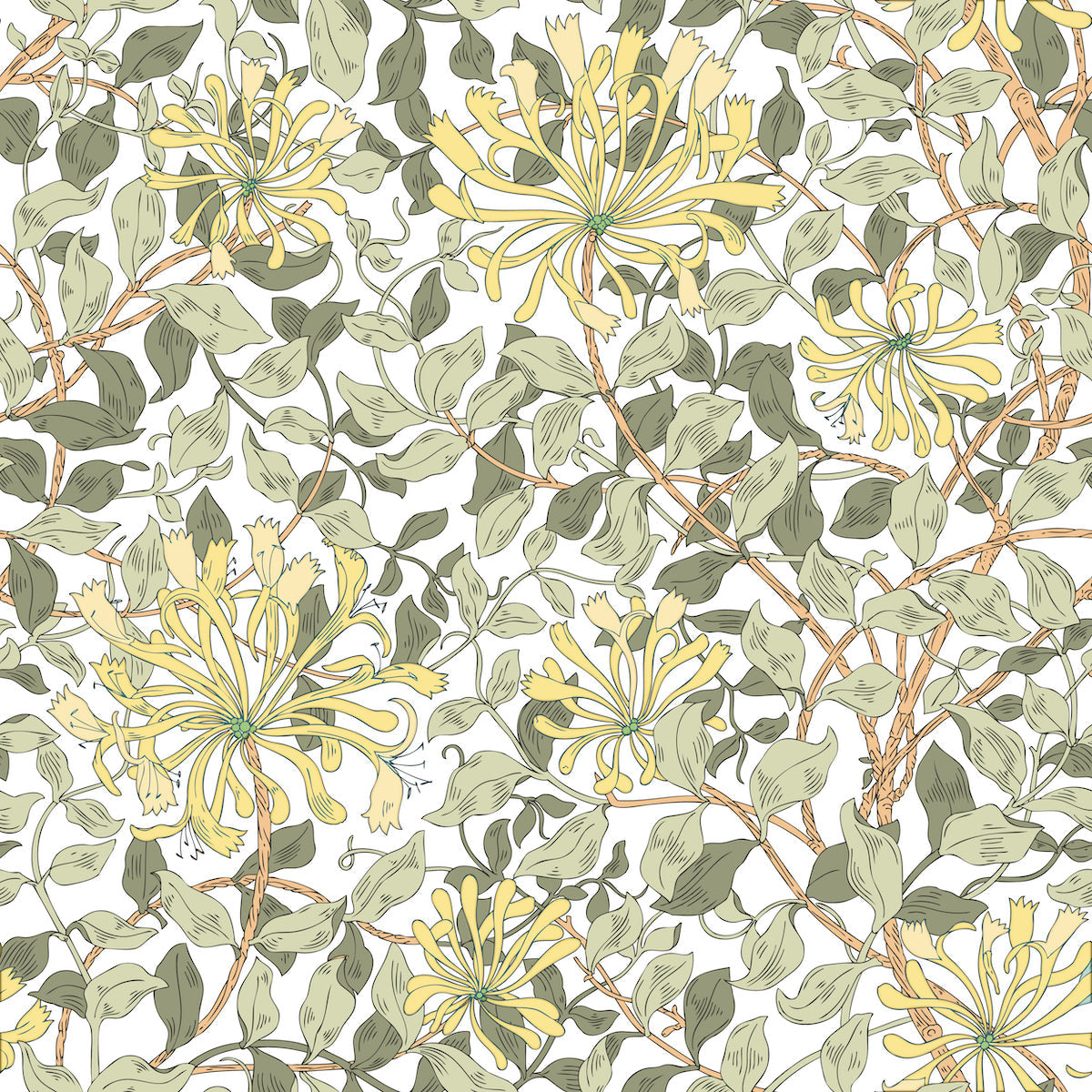 1118 - Honeysuckle Wallpaper - Blonde Yellow by Morris Collections