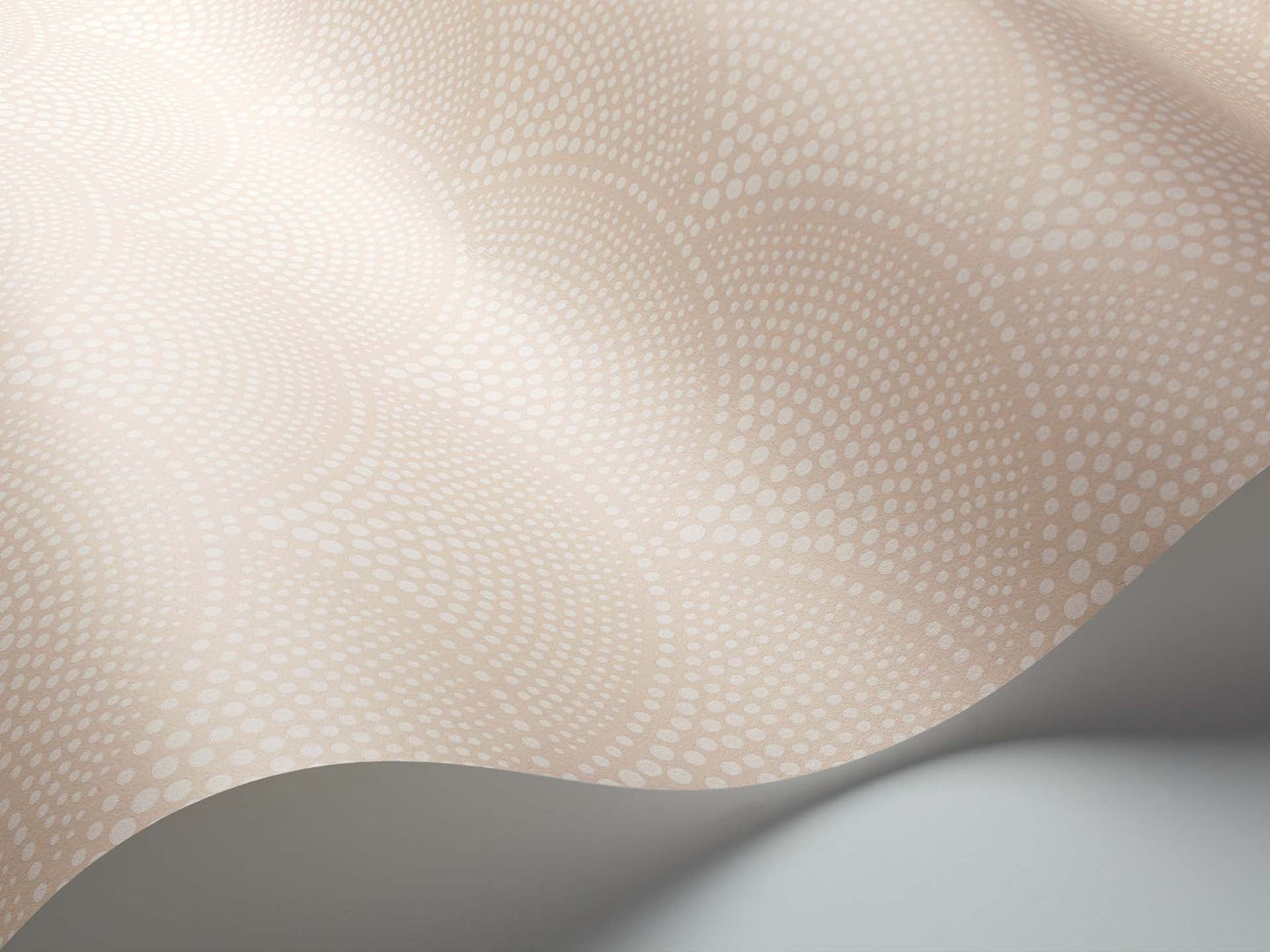 Feather Fan Icons Wallpaper - Ballet Slipper - 112/10035