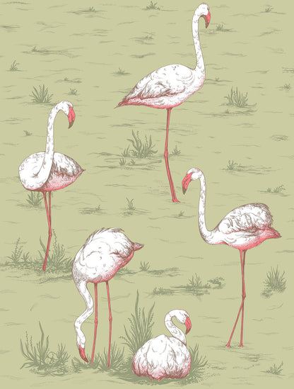 Flamingos Icons Wallpaper - Olive - 112/11038