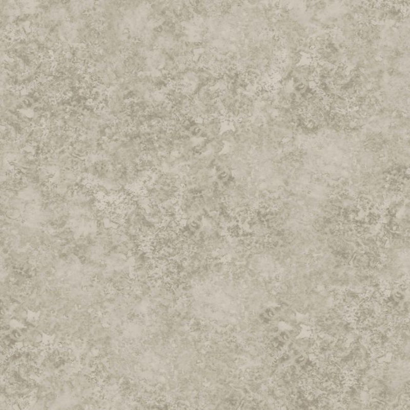 Patina Haze Wallpaper - Warm Metallic Gilver - 113/9026
