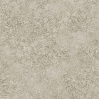 Patina Haze Wallpaper - Warm Metallic Gilver - 113/9026
