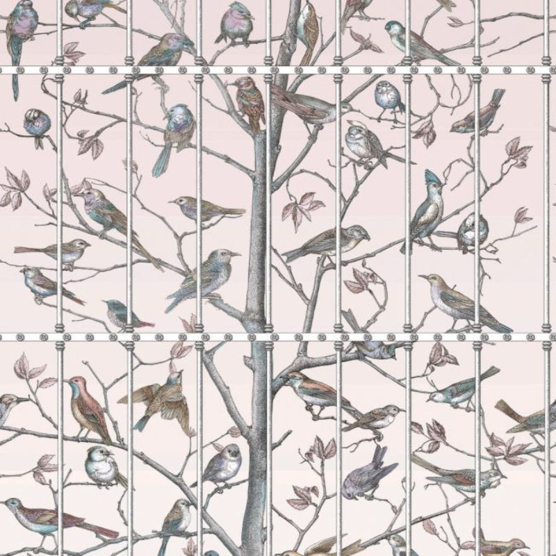Uccelli Wallpaper - Ballet Slipper - 114/11022