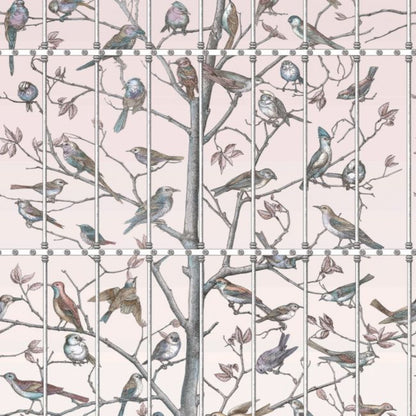 Uccelli Wallpaper - Ballet Slipper - 114/11022