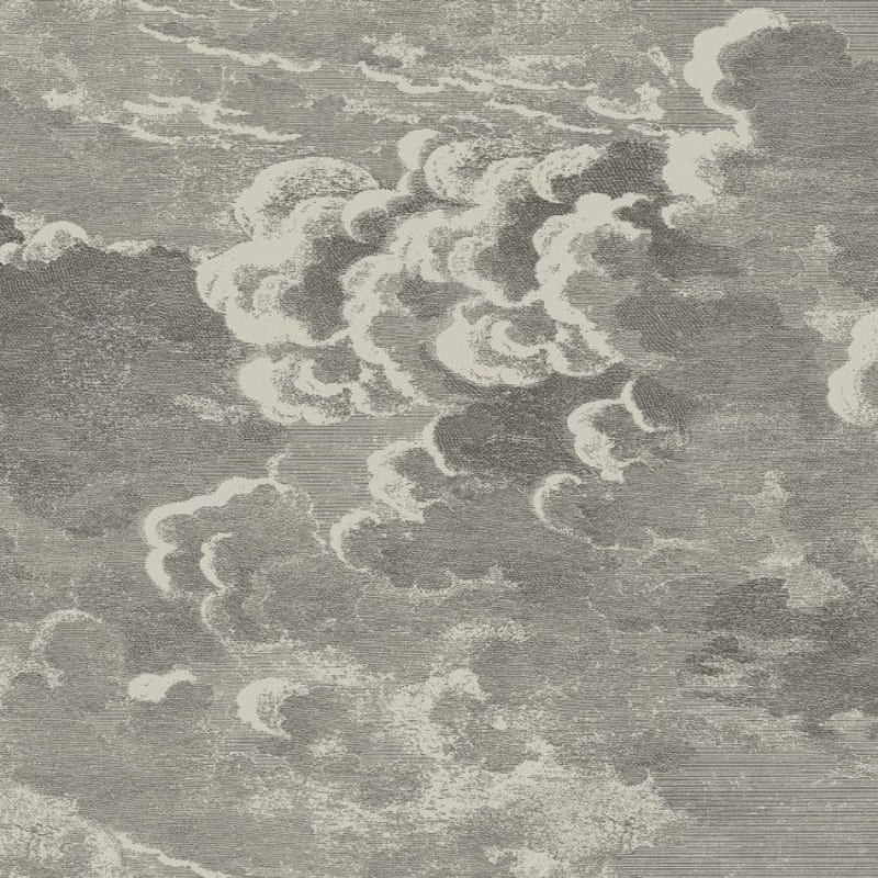 Nuvolette Wallpaper - Metallic Gilver & Charcoal - 114/2004