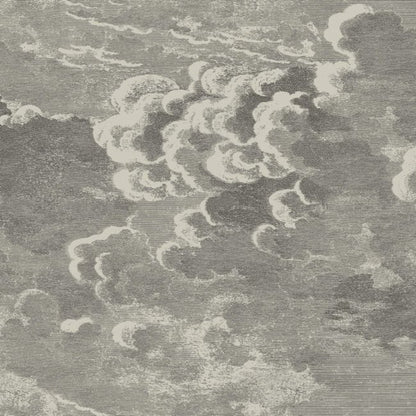 Nuvolette Wallpaper - Metallic Gilver & Charcoal - 114/2004