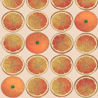 Arance Wallpaper - Orange & Cream - 114/24047