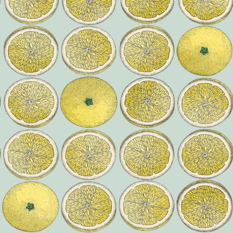Arance Wallpaper - Lemon & Seafoam - 114/24048