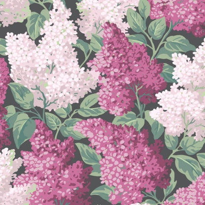 Lilac Wallpaper - Magenta & Blush on Charcoal - 115/1001
