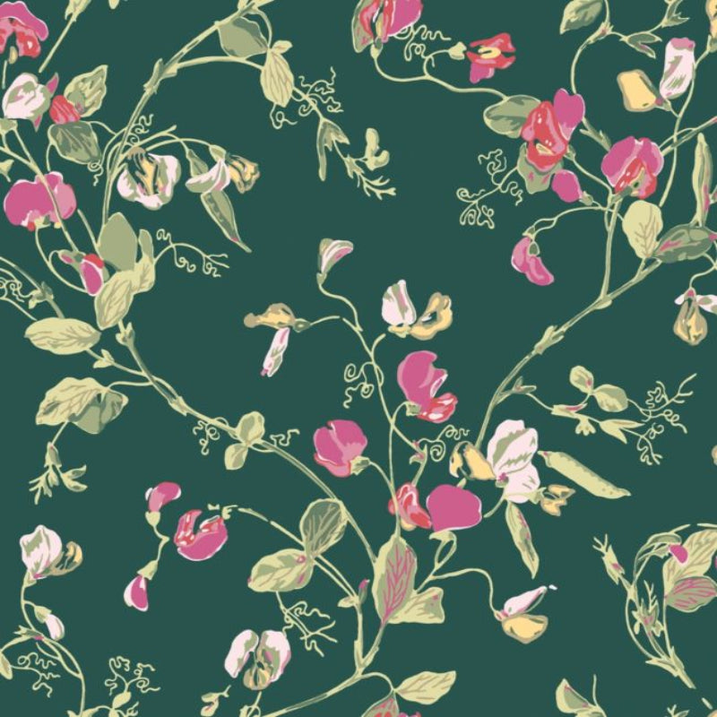 Sweet Pea Wallpaper - Cerise & Magenta on Dark Viridian - 115/11033