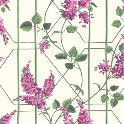 Wisteria Wallpaper - Magenta & Leaf Green on Chalk - 115/5013