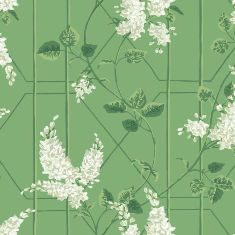 Wisteria Wallpaper - Sage on Leaf Green - 115/5016