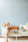 Confetti Soft Blue Wallpaper - Majvillan