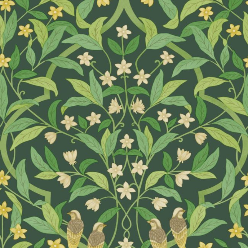 Jasmine & Serin Symphony Wallpaper - Yellow & Leaf Green on Dark Forest Green - 117/10029