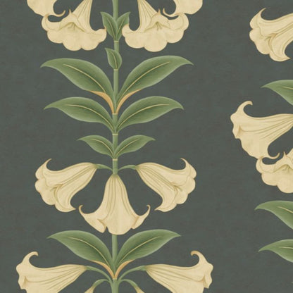 Angels Trumpet Wallpaper - Cream & Olive Green on Charcoal - 117/3006