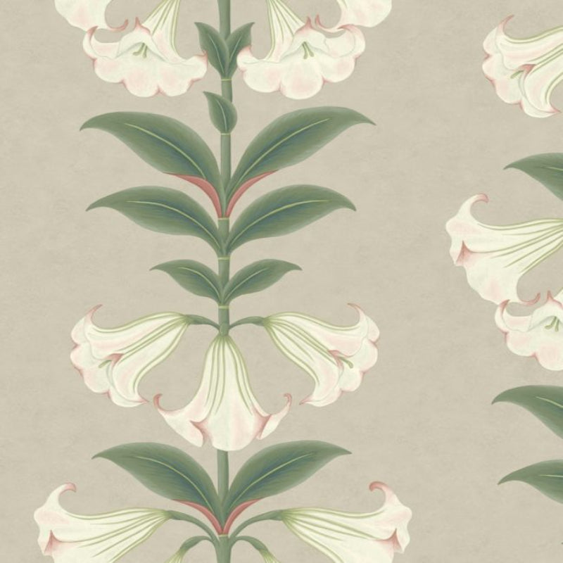 Angels Trumpet Wallpaper - Chalk & Sage on Stone - 117/3007