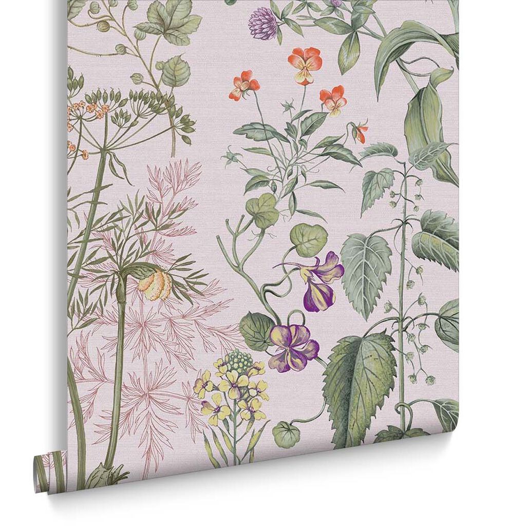 118015 - Edulis Wallpaper - Blush - Graham & Brown