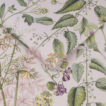 118015 - Edulis Wallpaper - Blush - Graham & Brown