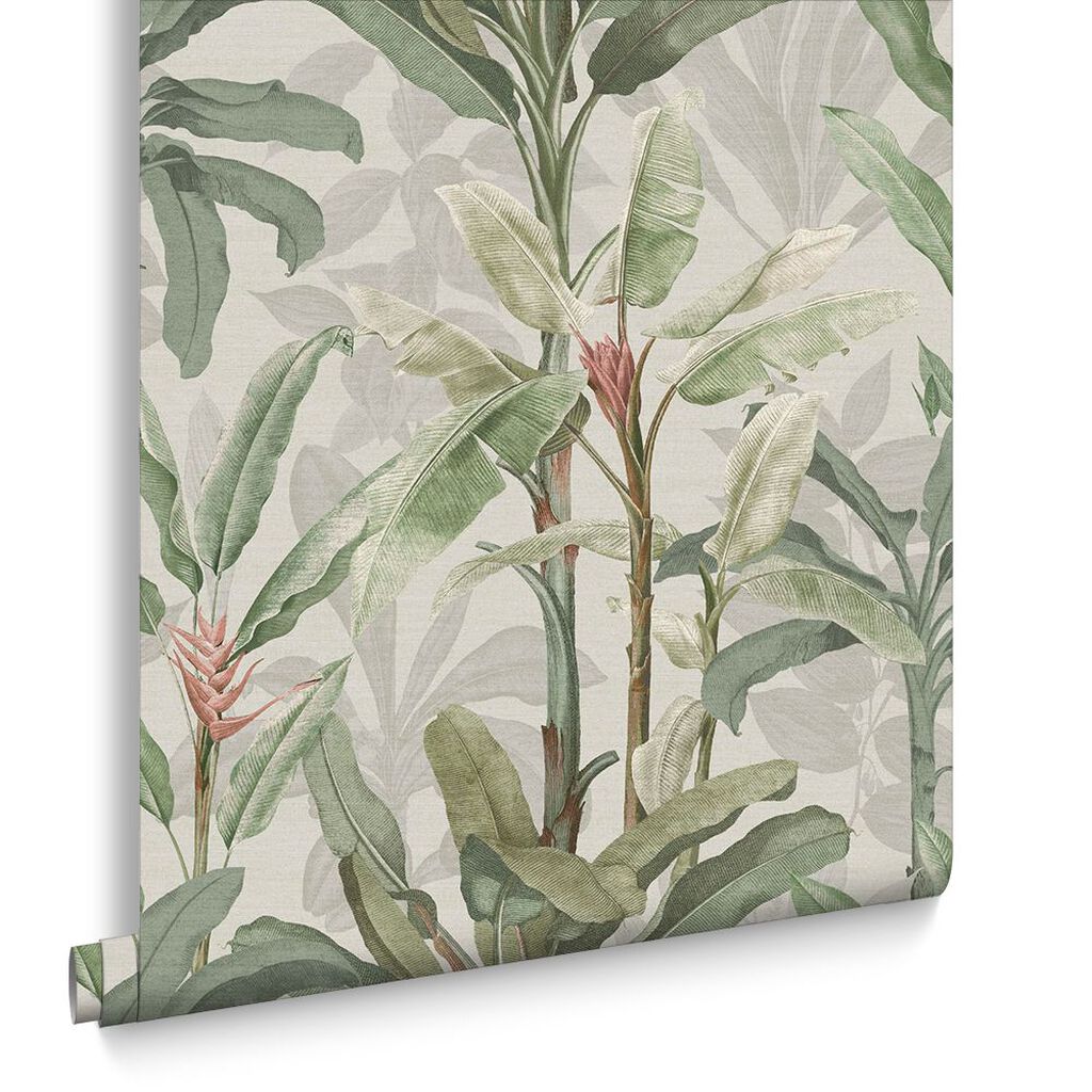 118031 - Borneo Wallpaper - Powder - Graham & Brown