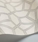 Wolsey Stars Wallpaper - Soot on Snow - 118/16036