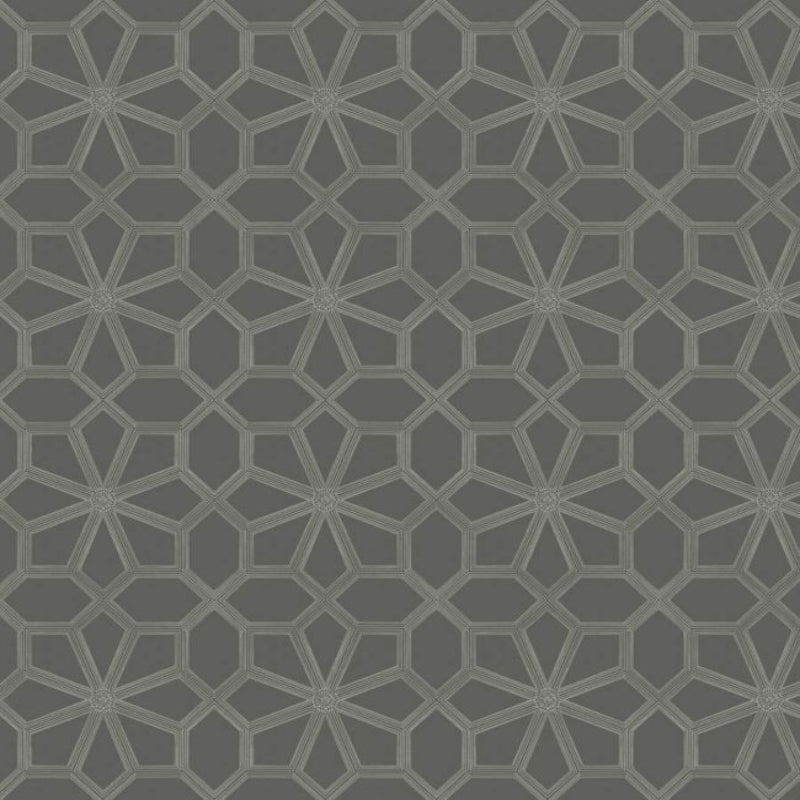 Wolsey Stars Wallpaper - Chalk on Charcoal - 118/16037