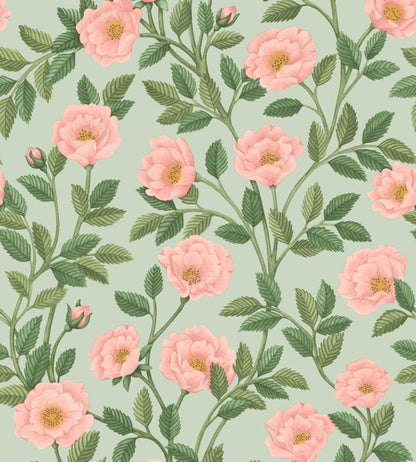 Hampton Roses Wallpaper - Rose & Leaf Green on Duck Egg - 118/7014